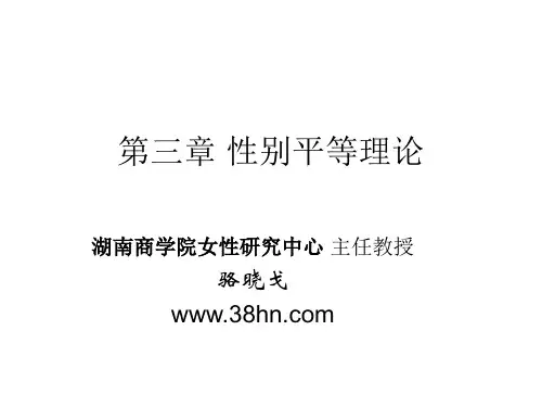 性别平等理论(第3章)