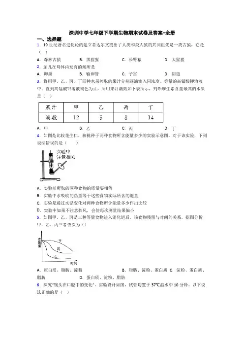 深圳中学七年级下学期生物期末试卷及答案-全册