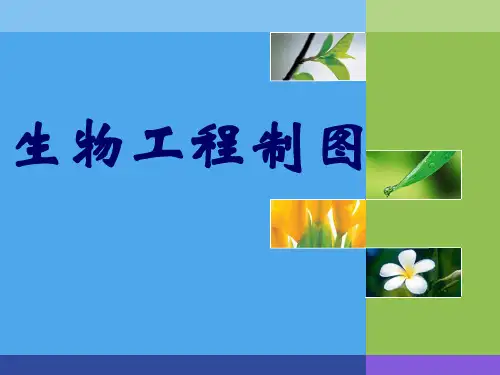 生物工程制图 制图基本知识