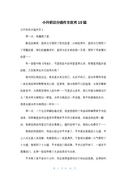 小升初满分作文优秀10篇