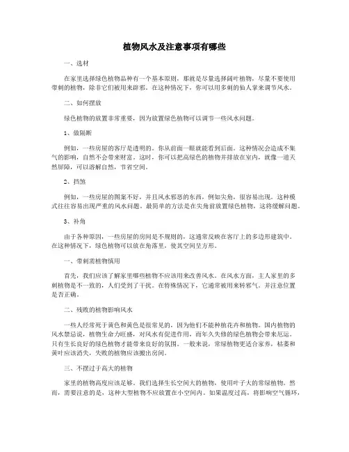 植物风水及注意事项有哪些