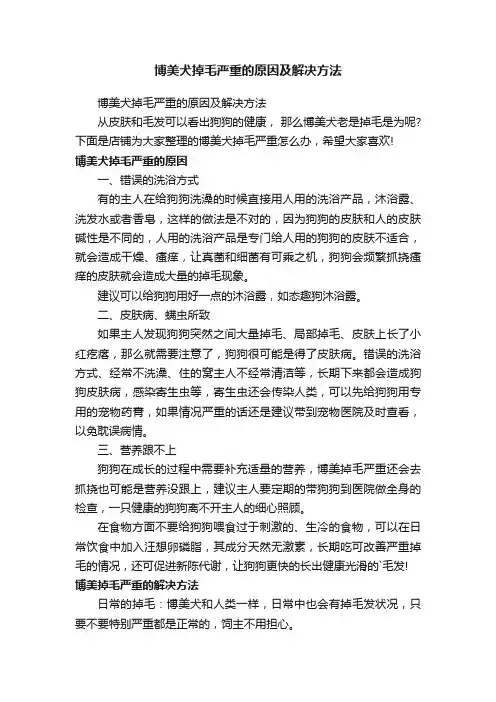 博美犬掉毛严重的原因及解决方法