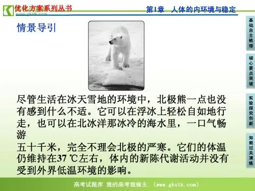 1-2稳态的重要性