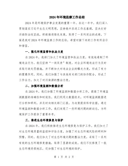 2024年环境监察工作总结