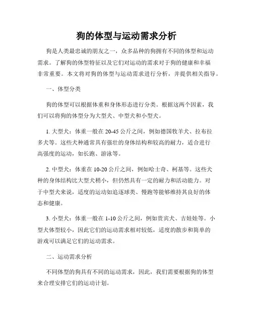 狗的体型与运动需求分析