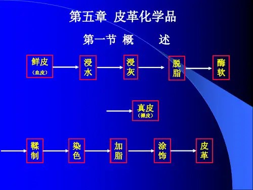 第五章 皮革化学品