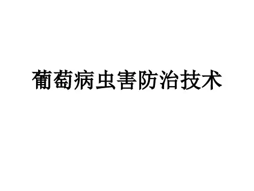 葡萄病虫害防治技术ppt课件