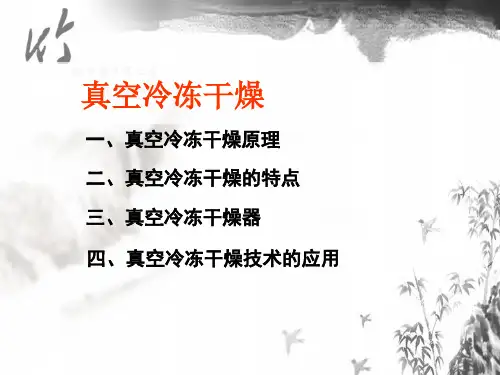 真空冷冻干燥与设备