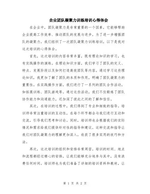 企业团队凝聚力训练培训心得体会