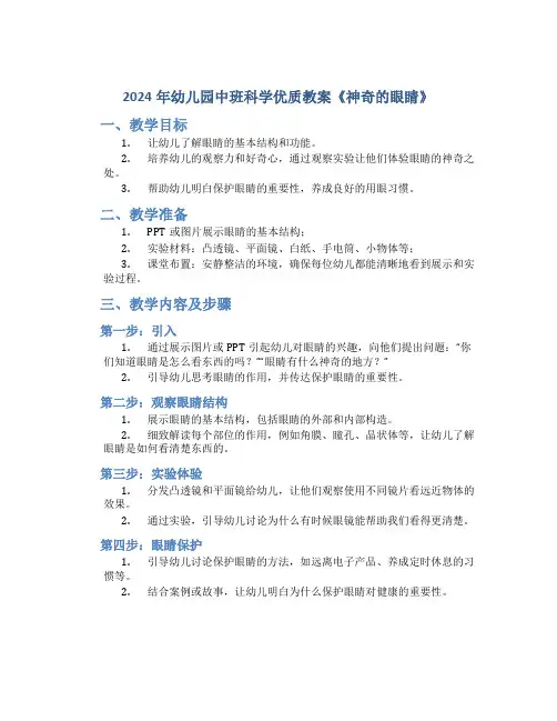 2024年幼儿园中班科学优质教案《神奇的眼睛》