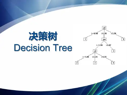 决策树培训讲义(PPT 49页)