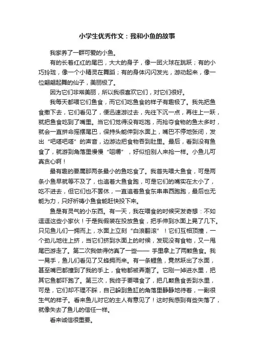 小学生优秀作文：我和小鱼的故事