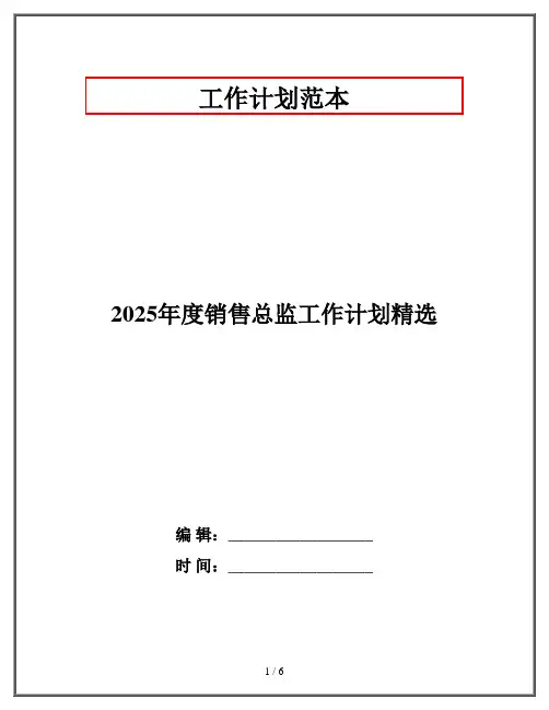 2025年度销售总监工作计划精选