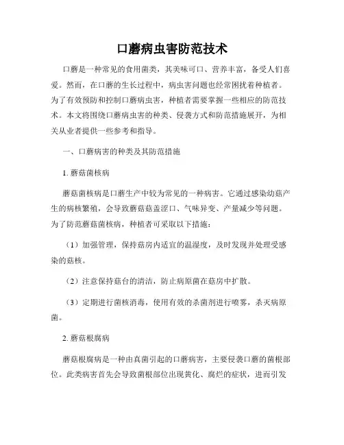 口蘑病虫害防范技术