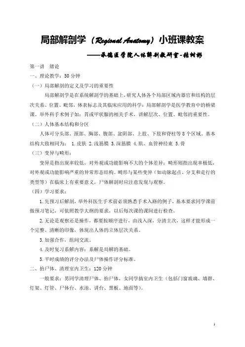 局部解剖学(Regional Anatomy)实习课教案