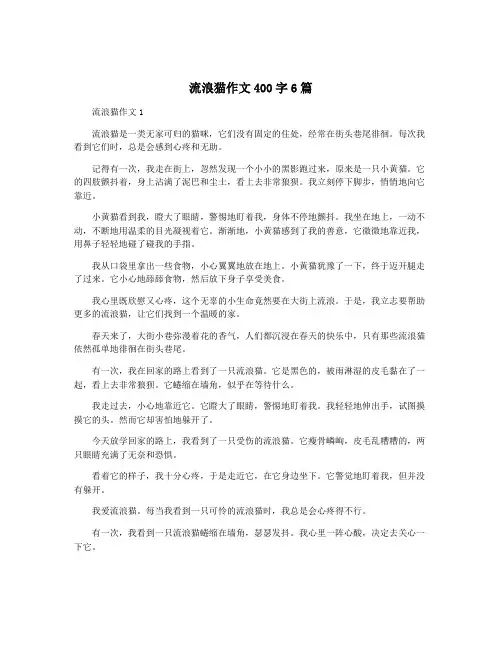 流浪猫作文400字6篇