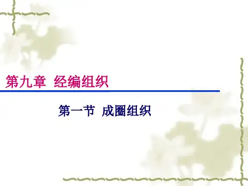《经编组织(一)》课件