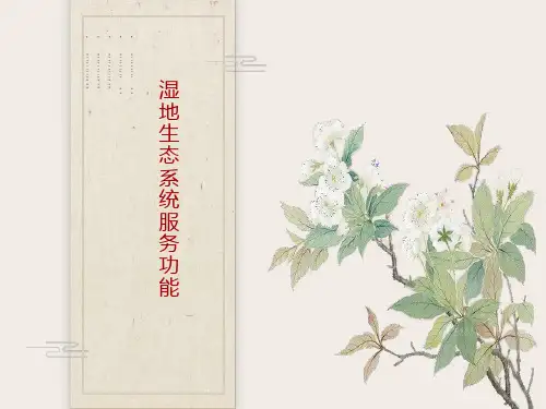 湿地生态系统服务功能