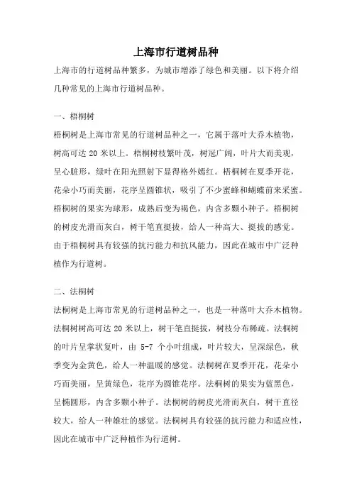 上海市行道树品种