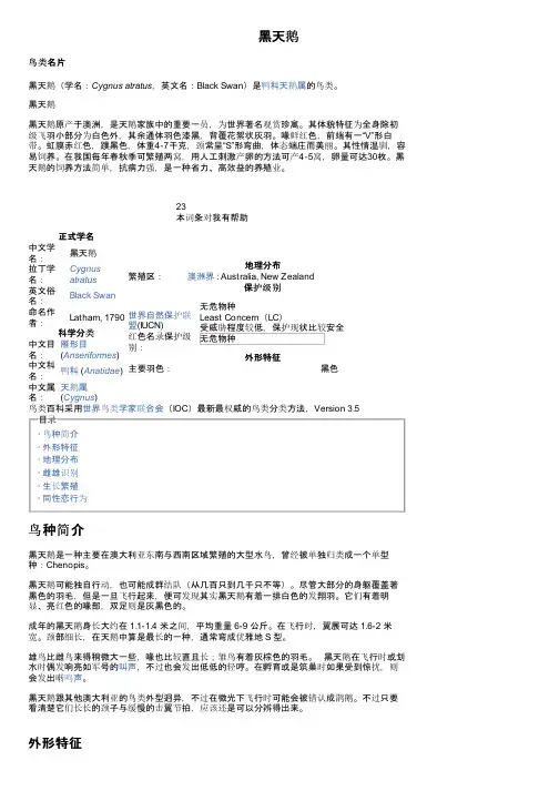 黑天鹅——精选推荐
