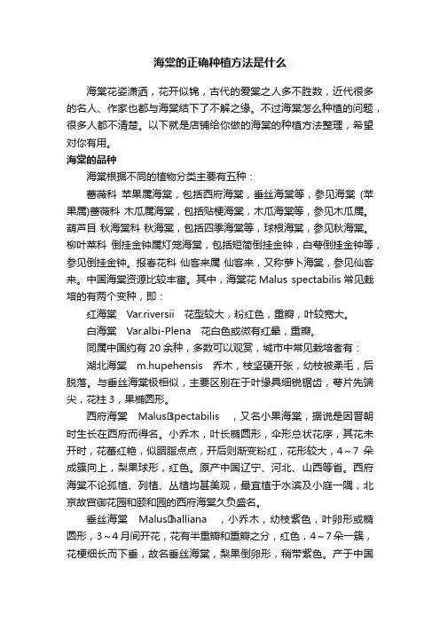 海棠的正确种植方法是什么