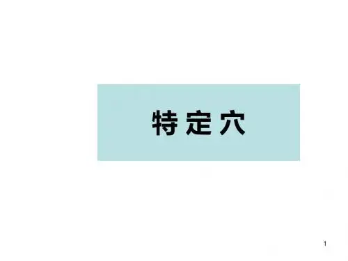 特定穴 PPT课件