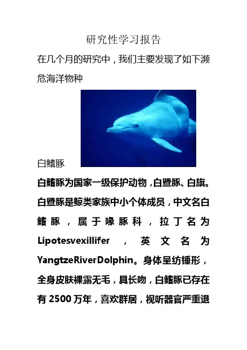 研究性学习报告 濒危海洋动物