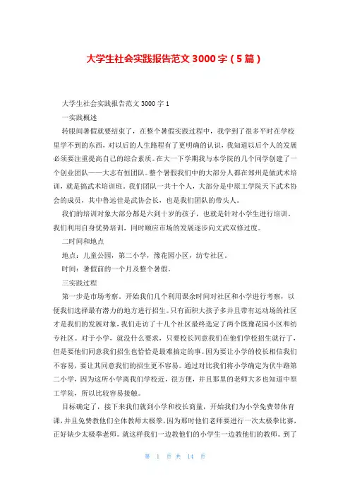 大学生社会实践报告范文3000字(5篇)