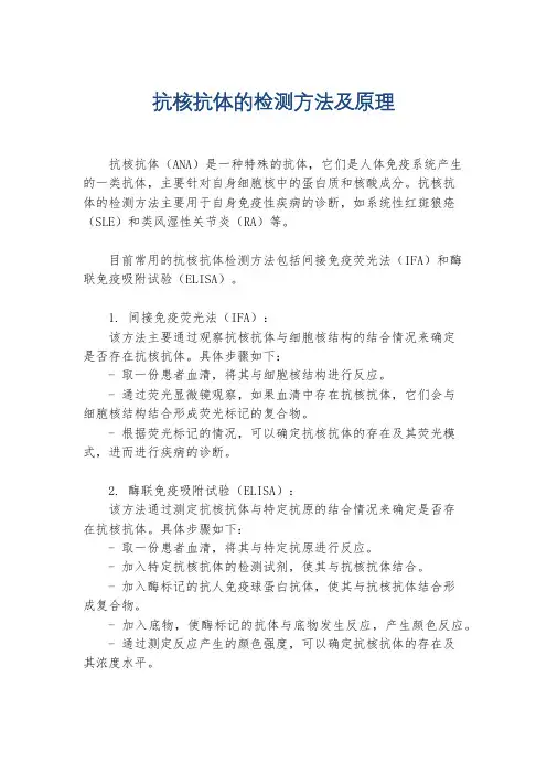抗核抗体的检测方法及原理