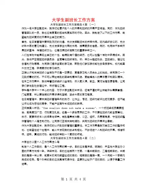 大学生副班长工作计划4篇