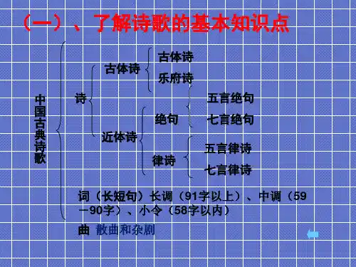 诗歌的基本知识点讲解