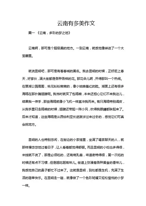 云南有多美作文