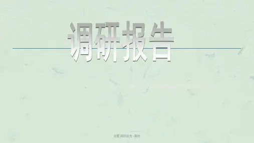 别墅调研报告-最终课件