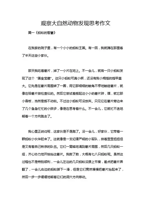 观察大自然动物发现思考作文