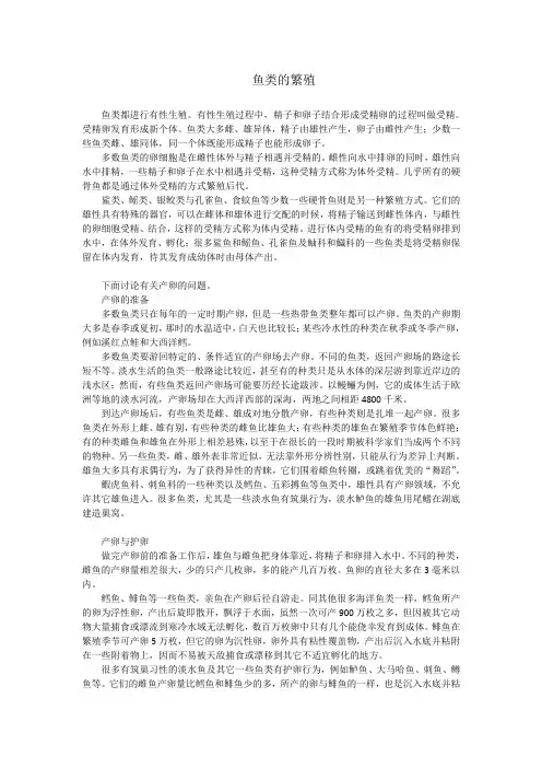 鱼类的繁殖