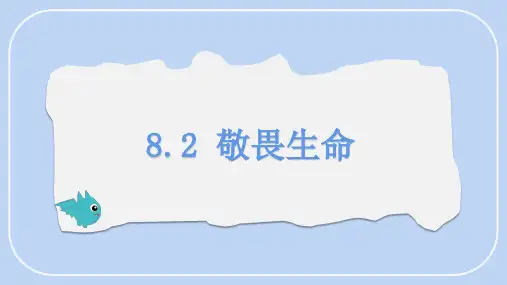 8.2 敬畏生命 课件 (19张PPT)道德与法治统编版七年级上册
