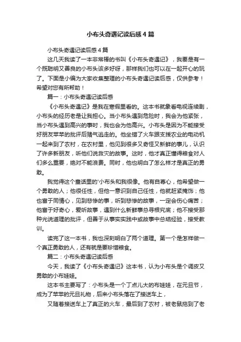 小布头奇遇记读后感4篇