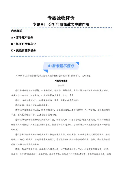 专题04 分析句段在散文中的作用(分层练)12篇-【高频考点解密】2023年高考语文二轮复习高频考点