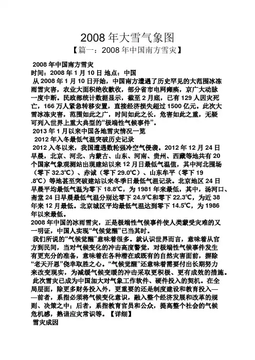 2008年大雪气象图