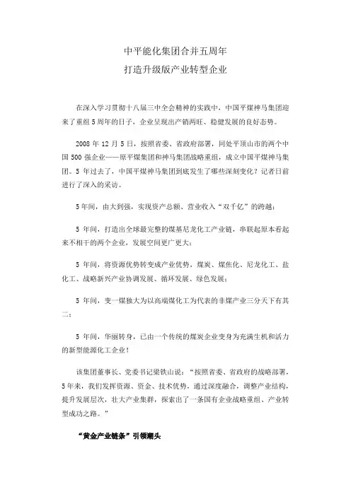 中平能化集团合并五年发展成就