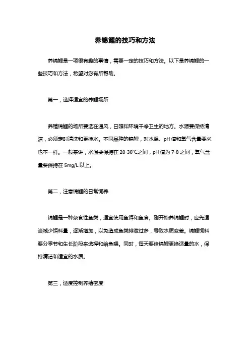 养锦鲤的技巧和方法