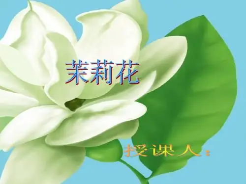 《茉莉花》课件