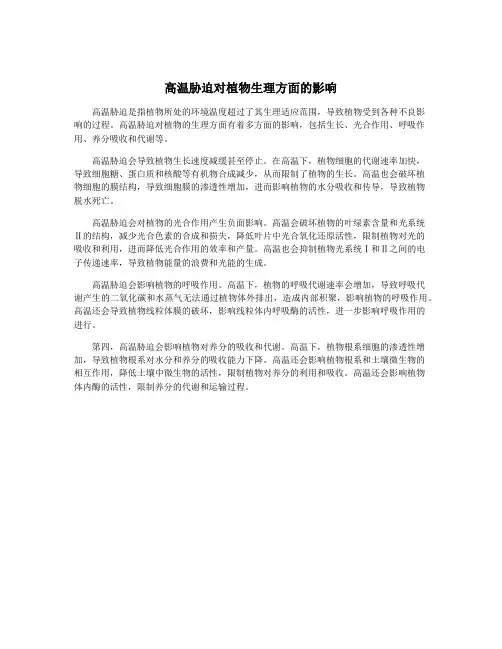 高温胁迫对植物生理方面的影响