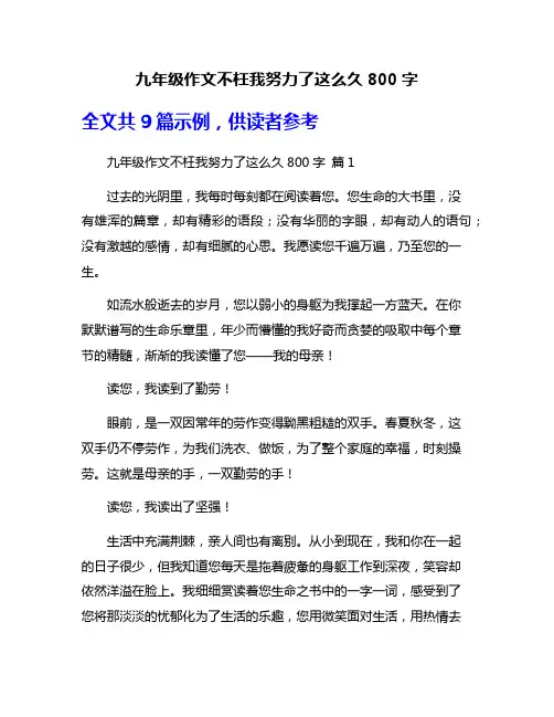 九年级作文不枉我努力了这么久800字