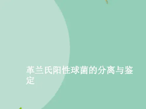 革兰氏阳性球菌的分离与鉴定精选文档