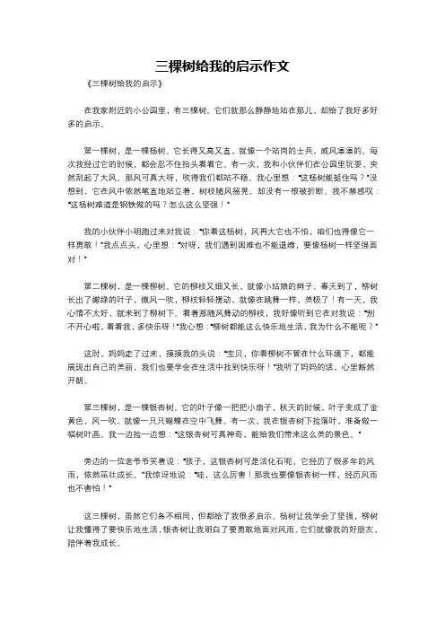 三棵树给我的启示作文