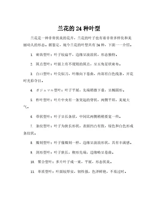 兰花的24种叶型