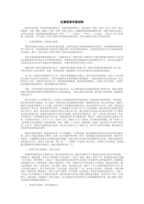 红旗团委申报材料
