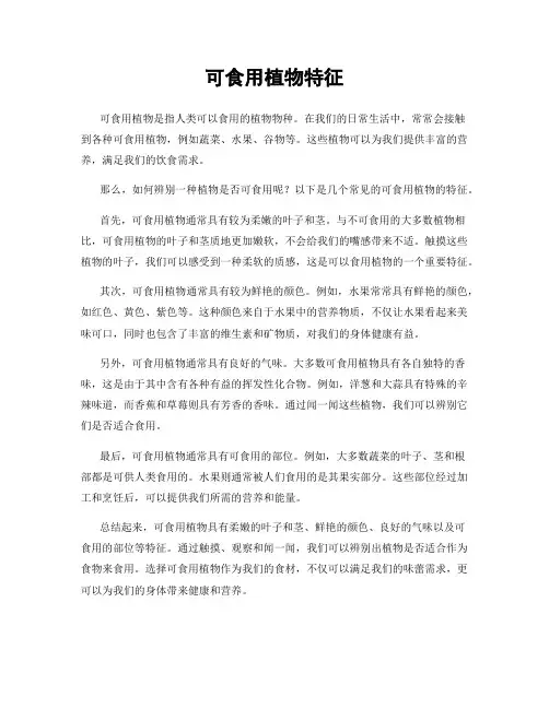 可食用植物特征
