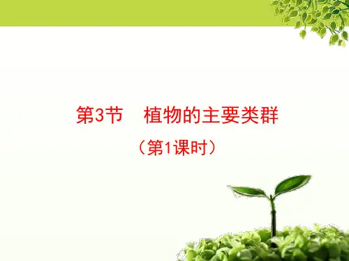 北师大版生物八年级下册 《植物的主要类群》第1课时授课课件  